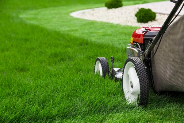Mowing Service in Rockville