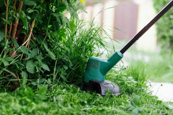 Weed Whacking in Rockville