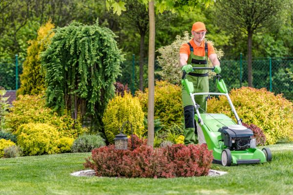 Cost of Weekly Lawn Maintenance in Rockville