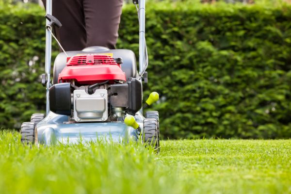 Grass Trimming Service in Rockville