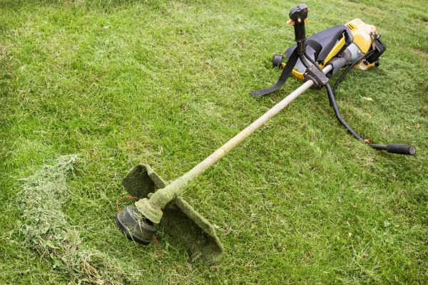 Cost of Hillside Weed Whacking in Rockville
