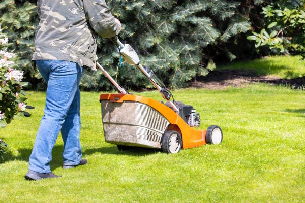 Springtime Lawn Care in Rockville