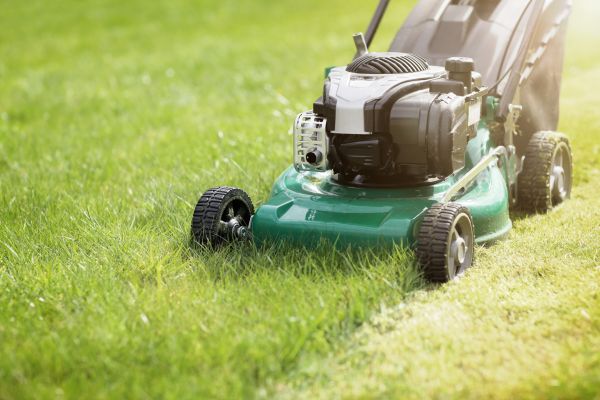 Cost of Spring Grass Trimming in Rockville