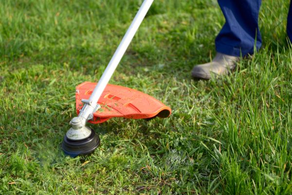Cost of Lawn Weed Whacking in Rockville