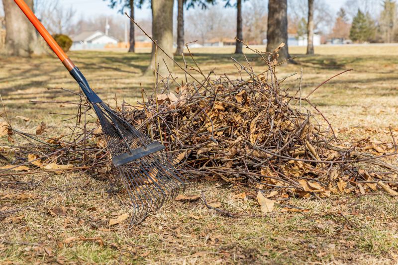 Lawn Debris Pile