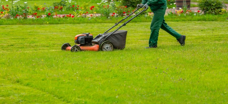 Lawn Care And Maintenance