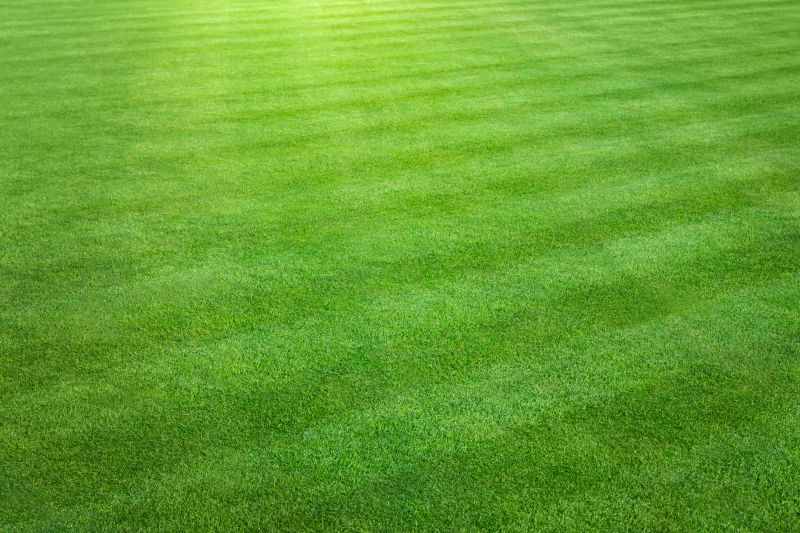 Lawn After Mowing