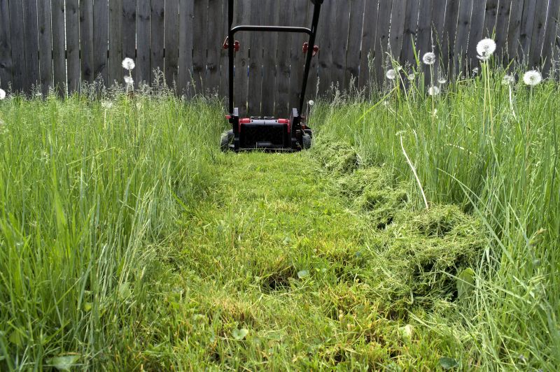 Lawn Health